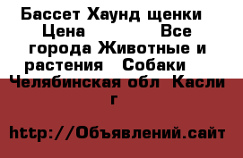 Бассет Хаунд щенки › Цена ­ 20 000 - Все города Животные и растения » Собаки   . Челябинская обл.,Касли г.